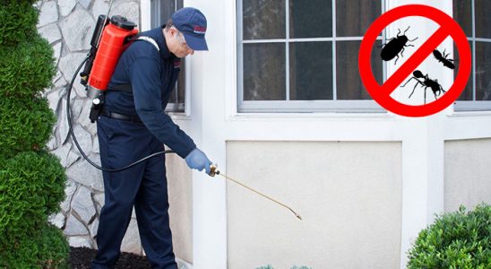 Karesi Tahtakurusu İlaçlama böcek ilaçlama ve haşere kontrolü — ilaclama-tr.com